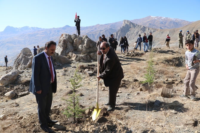 Hakkari'de fidan dikimi etkinliği 36