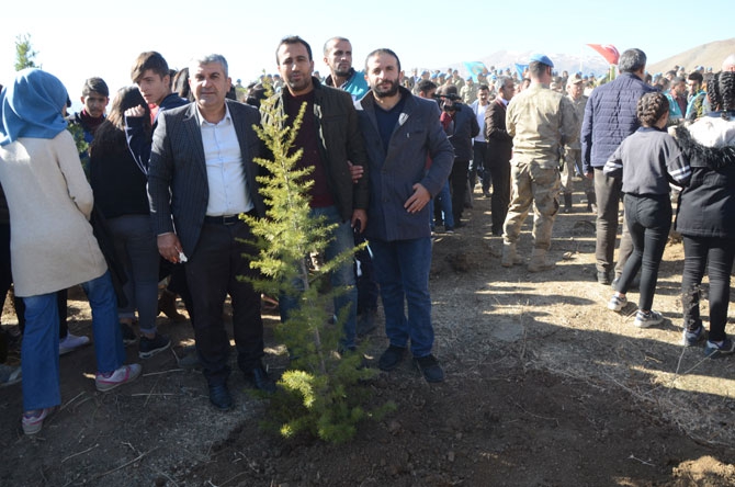 Hakkari'de fidan dikimi etkinliği 37