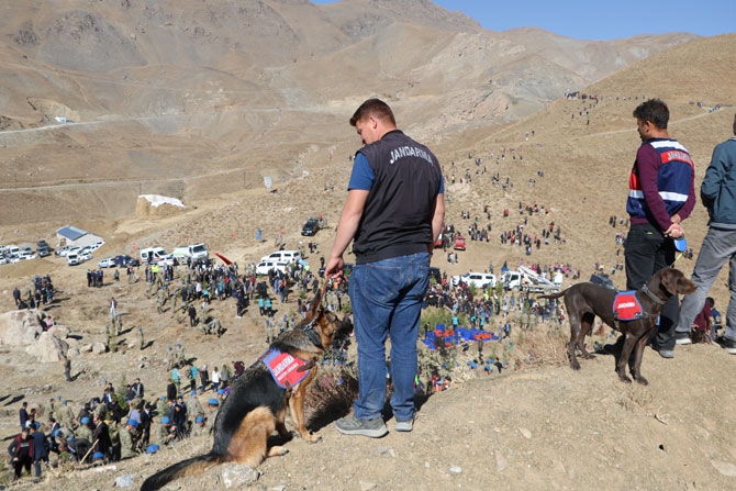 Hakkari'de fidan dikimi etkinliği 39