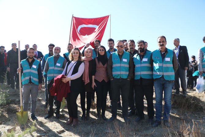 Hakkari'de fidan dikimi etkinliği 4