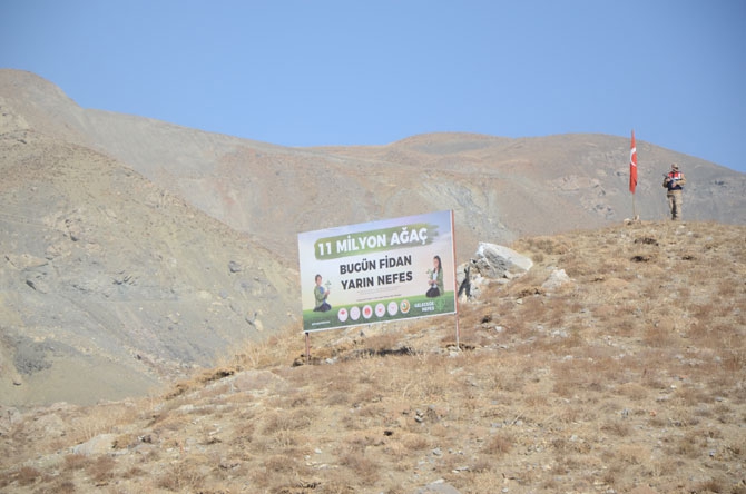 Hakkari'de fidan dikimi etkinliği 40