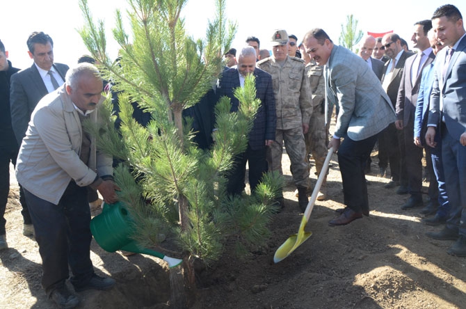 Hakkari'de fidan dikimi etkinliği 5