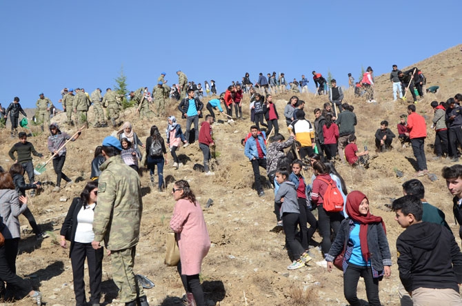 Hakkari'de fidan dikimi etkinliği 6