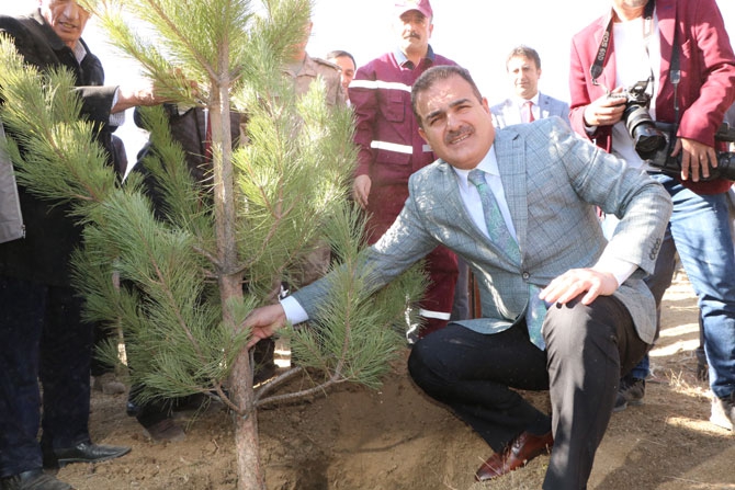 Hakkari'de fidan dikimi etkinliği 7