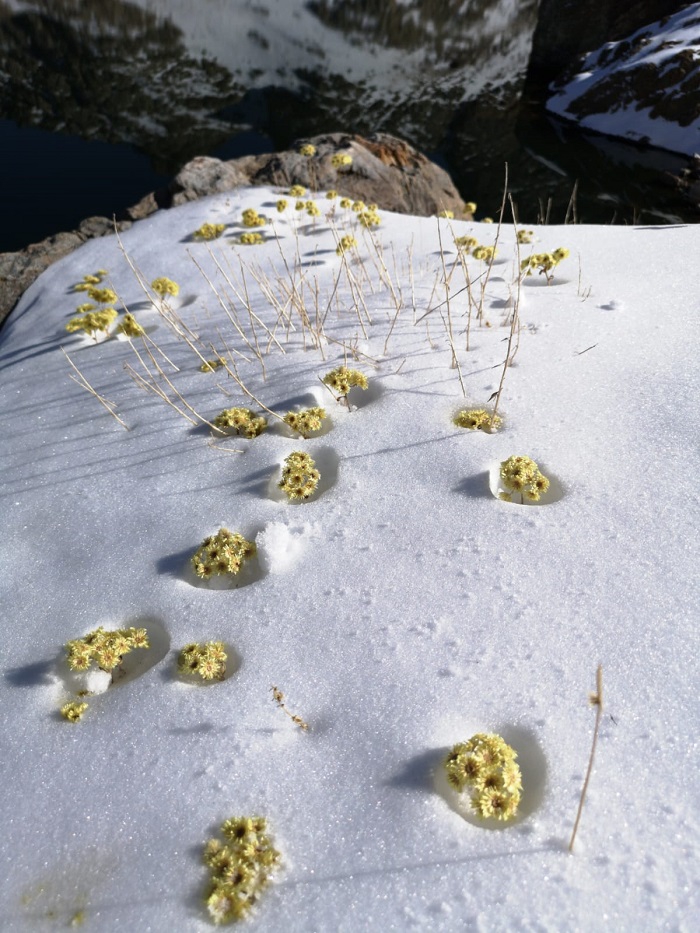 Hakkari'de ilk defa Cilo Sat Gölleri kar ile görüntülendi 8