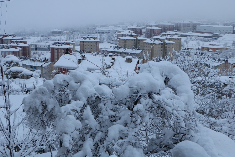 Gazeteci Mehmet Özkan Objektifinden Hakkari'de kış! 1