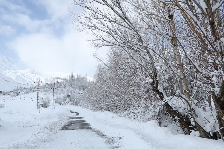 Gazeteci Mehmet Özkan Objektifinden Hakkari'de kış! 17