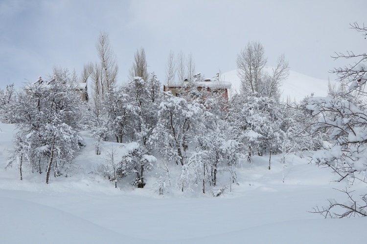 Gazeteci Mehmet Özkan Objektifinden Hakkari'de kış! 18