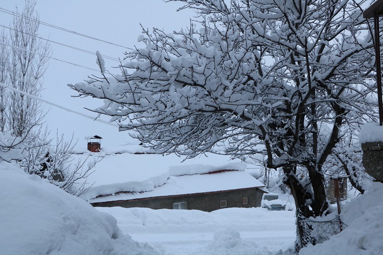 Gazeteci Mehmet Özkan Objektifinden Hakkari'de kış! 3