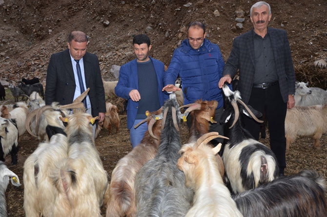 Hakkari’de İŞKUR’un dokunduğu hayatlar 20