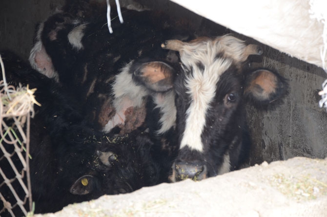 Depremzedeler yardım eli bekliyor 42