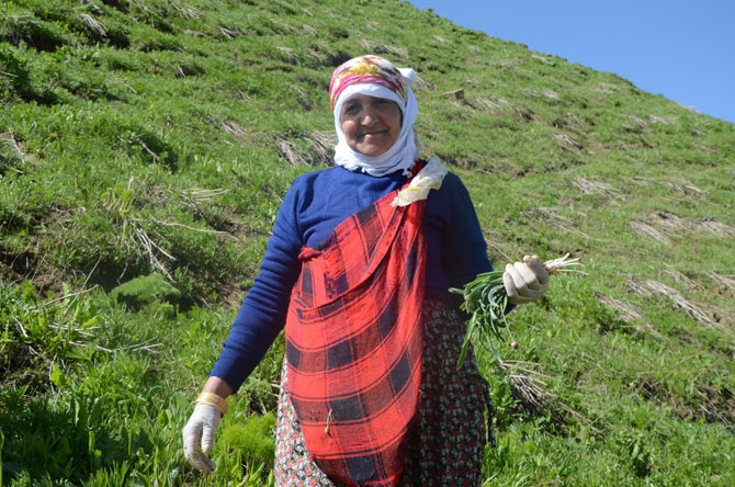 Hakkarili kadınların dağlardaki ot mesaisi 14