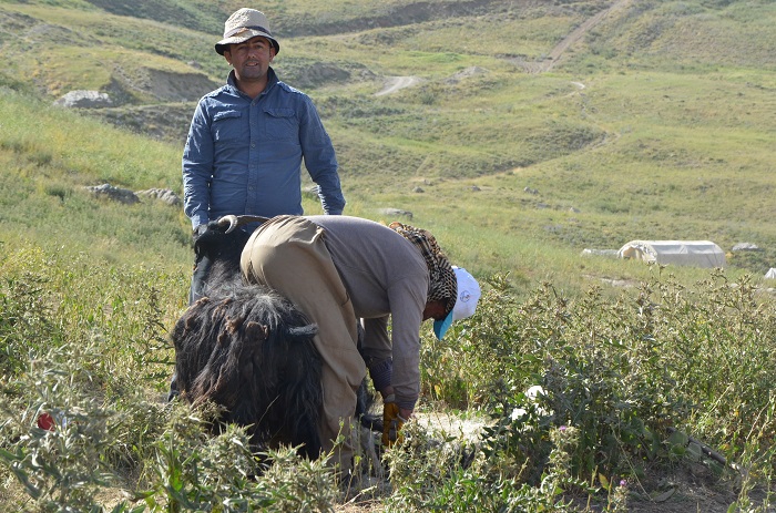 “Damla Projesi” Öğrencileri Hakkari'de 65