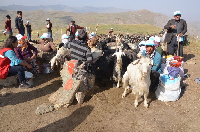 “Damla Projesi” Öğrencileri Hakkari'de 71