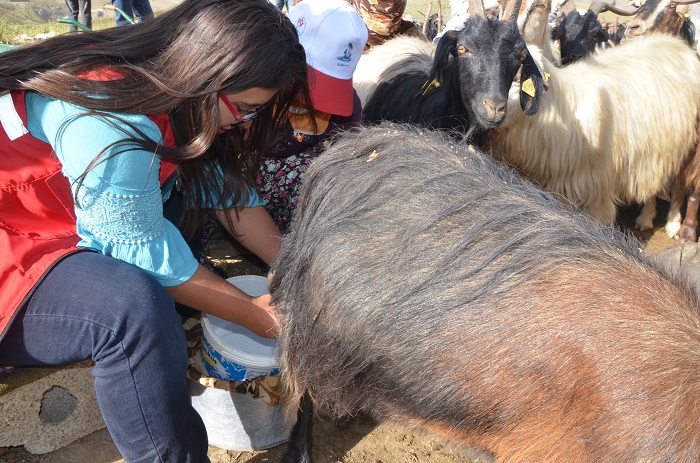 “Damla Projesi” Öğrencileri Hakkari'de 72