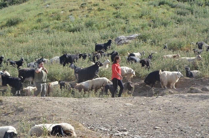 “Damla Projesi” Öğrencileri Hakkari'de 74