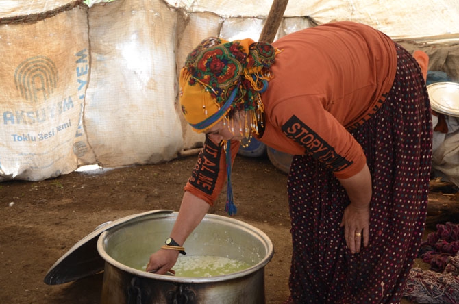 Siirtli koçerlerin Hakkari'deki zorlu yayla yaşamı 11