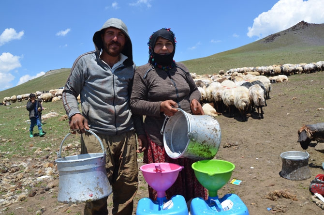 Siirtli koçerlerin Hakkari'deki zorlu yayla yaşamı 13