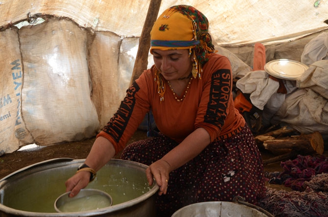 Siirtli koçerlerin Hakkari'deki zorlu yayla yaşamı 14