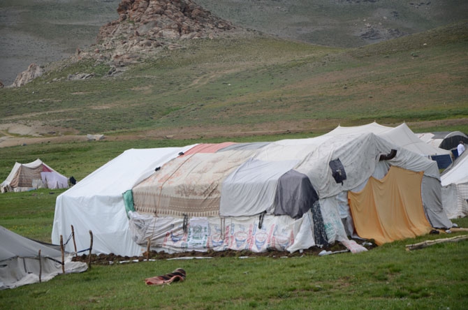 Siirtli koçerlerin Hakkari'deki zorlu yayla yaşamı 21