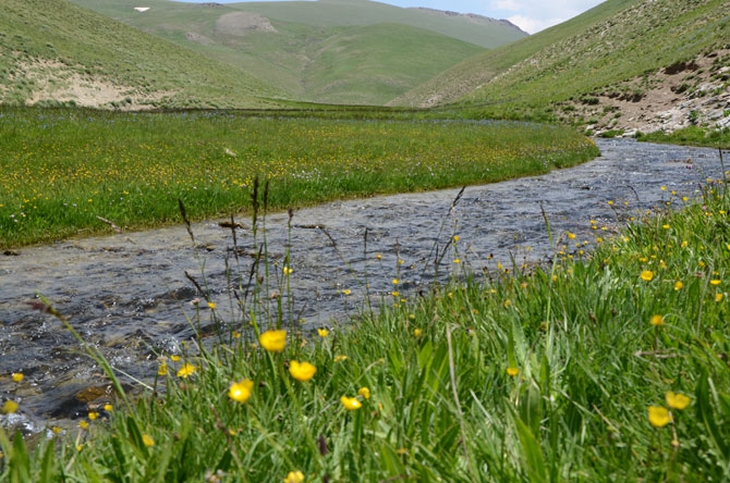 Siirtli koçerlerin Hakkari'deki zorlu yayla yaşamı 24