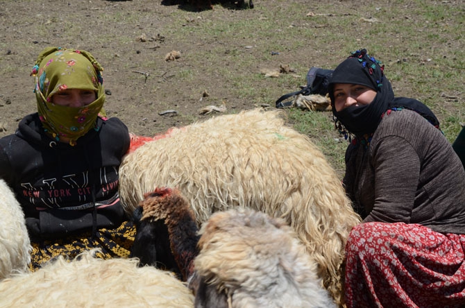 Siirtli koçerlerin Hakkari'deki zorlu yayla yaşamı 26