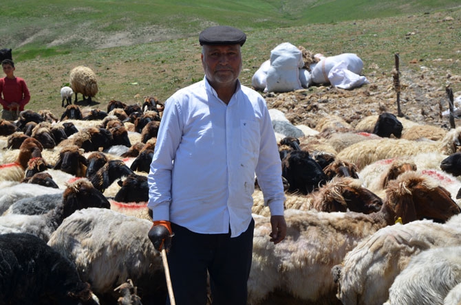 Siirtli koçerlerin Hakkari'deki zorlu yayla yaşamı 27