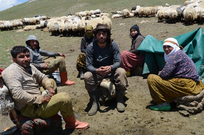 Siirtli koçerlerin Hakkari'deki zorlu yayla yaşamı 28