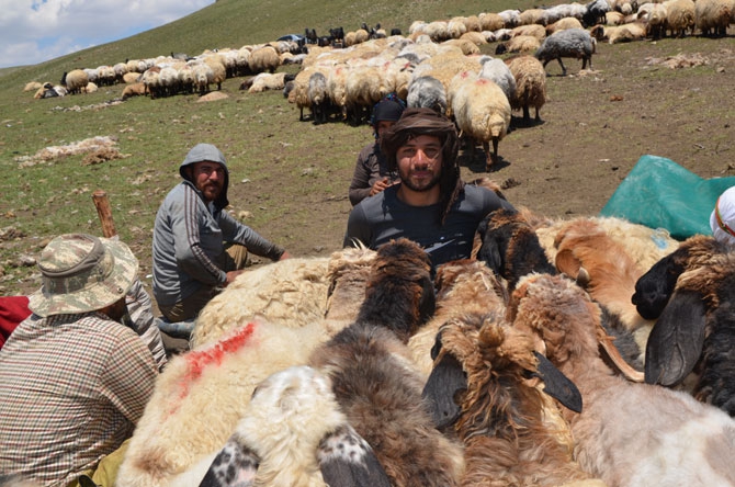 Siirtli koçerlerin Hakkari'deki zorlu yayla yaşamı 29