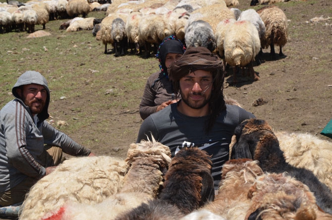 Siirtli koçerlerin Hakkari'deki zorlu yayla yaşamı 3