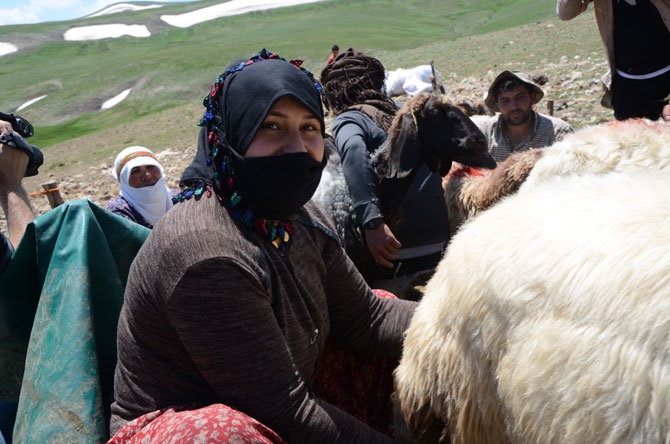 Siirtli koçerlerin Hakkari'deki zorlu yayla yaşamı 31