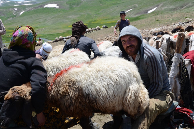 Siirtli koçerlerin Hakkari'deki zorlu yayla yaşamı 32