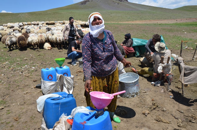 Siirtli koçerlerin Hakkari'deki zorlu yayla yaşamı 34