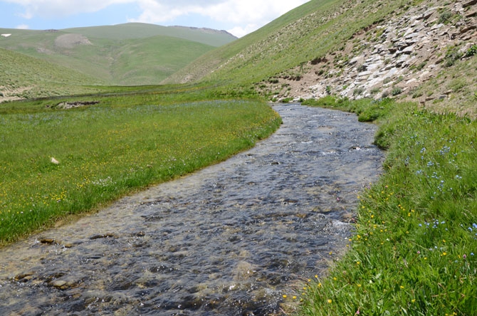 Siirtli koçerlerin Hakkari'deki zorlu yayla yaşamı 36