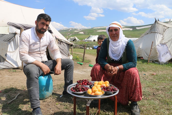 Siirtli koçerlerin Hakkari'deki zorlu yayla yaşamı 41