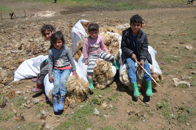 Siirtli koçerlerin Hakkari'deki zorlu yayla yaşamı 6
