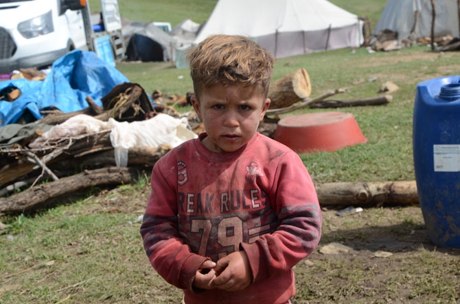 Siirtli koçerlerin Hakkari'deki zorlu yayla yaşamı 9