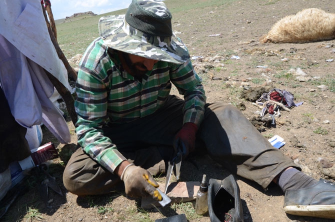 Günde 450 TL’ye koyun kırkıyorlar 7