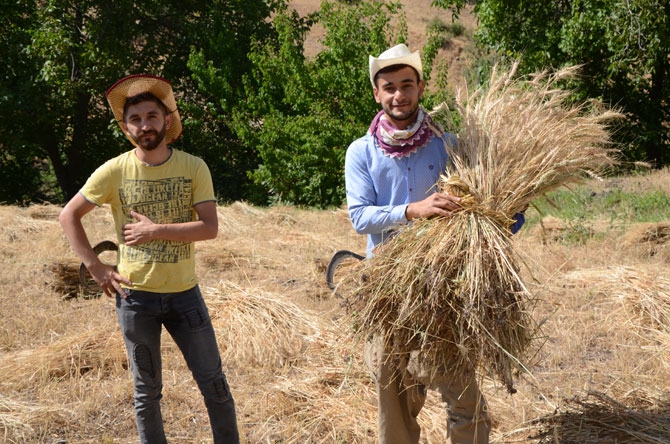 25 yıl sonra döndükleri köylerinde toprağa hayat veriyorlar 13