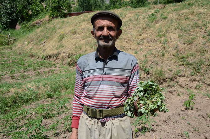 25 yıl sonra döndükleri köylerinde toprağa hayat veriyorlar 15