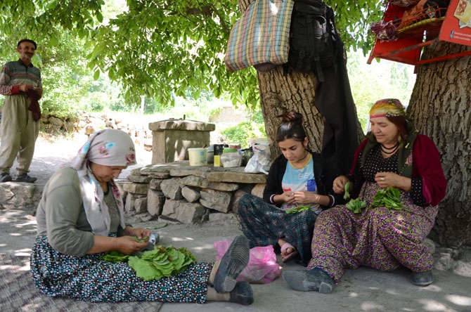25 yıl sonra döndükleri köylerinde toprağa hayat veriyorlar 17