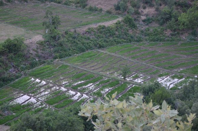 25 yıl sonra döndükleri köylerinde toprağa hayat veriyorlar 18