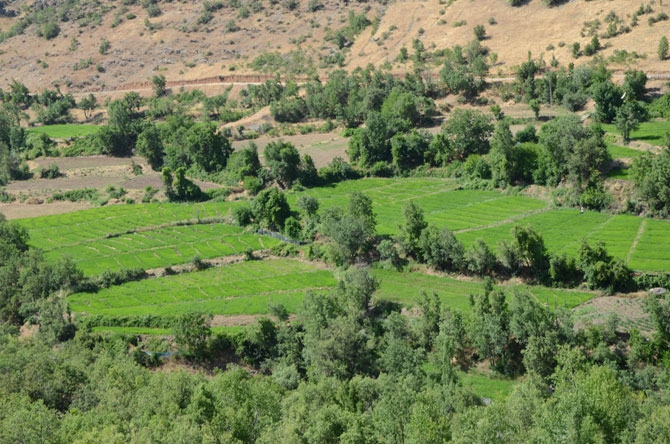 25 yıl sonra döndükleri köylerinde toprağa hayat veriyorlar 3