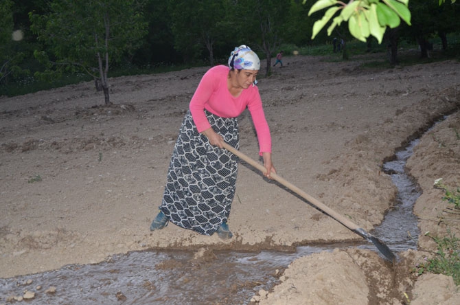 25 yıl sonra döndükleri köylerinde toprağa hayat veriyorlar 4