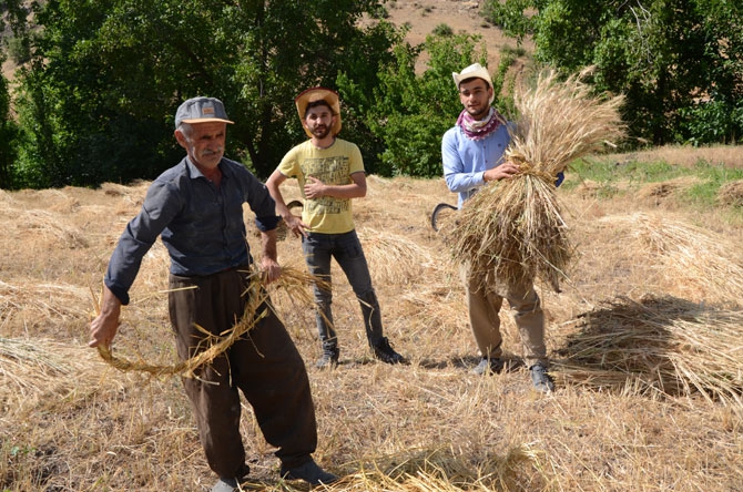 25 yıl sonra döndükleri köylerinde toprağa hayat veriyorlar 9