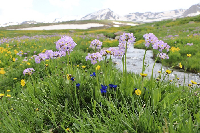 Hakkari'yi hiç böyle gördünüz mü? 16