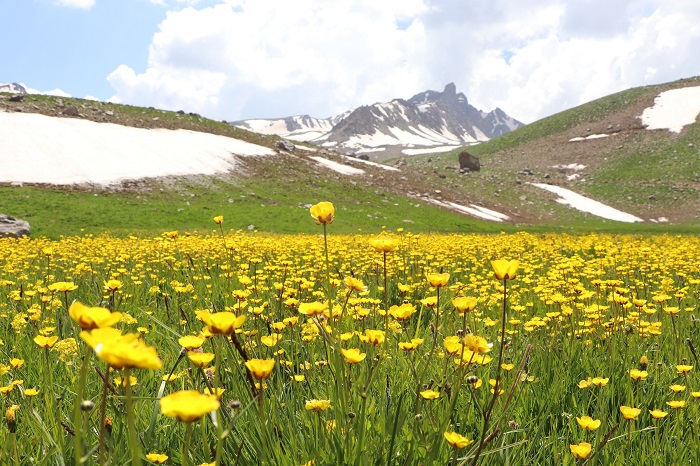 Hakkari'yi hiç böyle gördünüz mü? 17