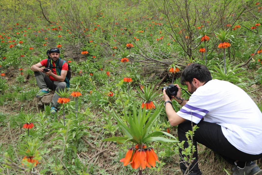 Taylandlı 2 turist, ters laleleri görmek için Hakkari'ye geldi 11