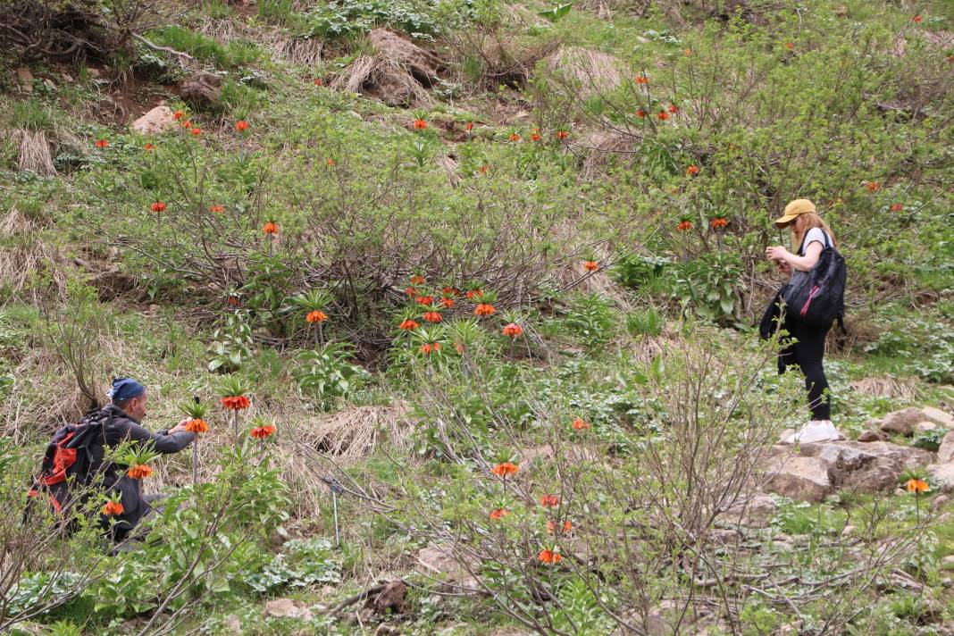 Taylandlı 2 turist, ters laleleri görmek için Hakkari'ye geldi 29