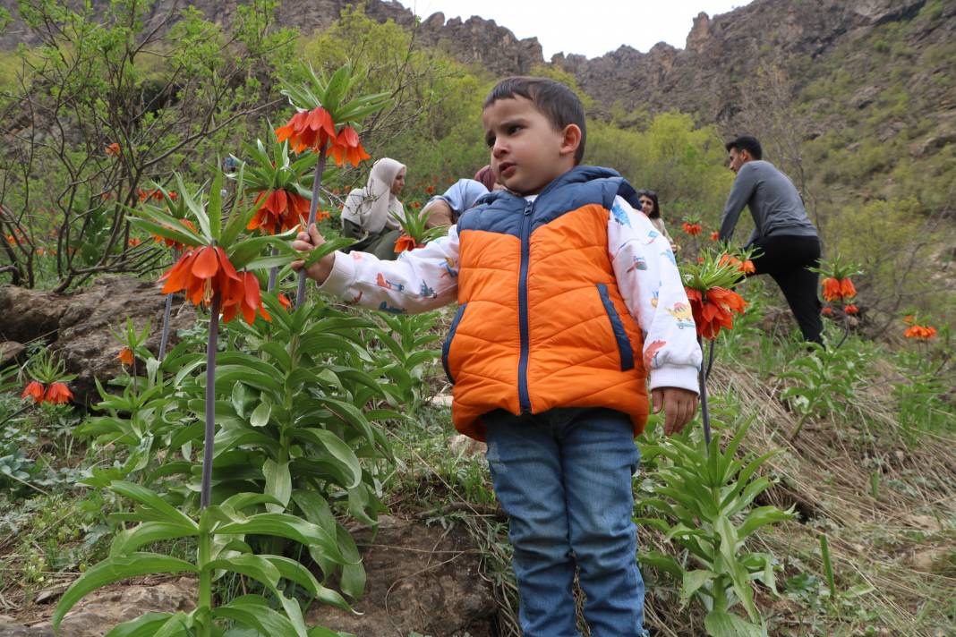Taylandlı 2 turist, ters laleleri görmek için Hakkari'ye geldi 4